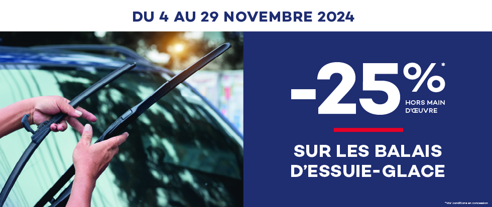 Campagne SAV - Novembre 2024 - offre